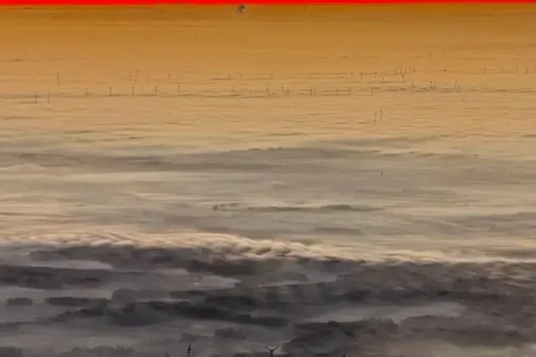 Windkraftanlagen im Nebel bei Sonnenaufgang